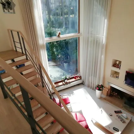 In Near Popular * Talin