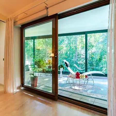 In Near Popular Talin