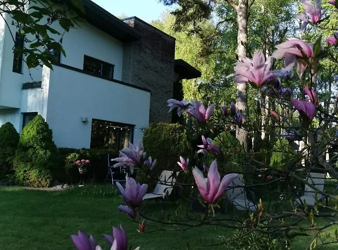 In Near Popular * Tallin