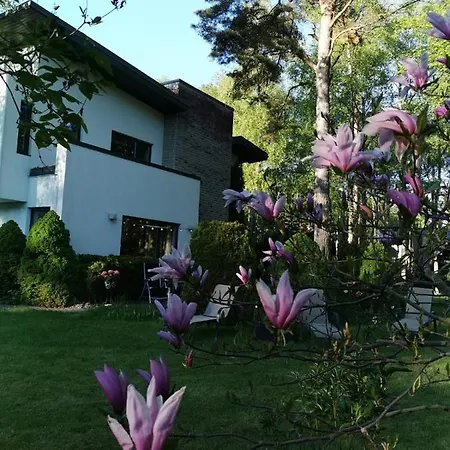 In Near Popular * Tallinn